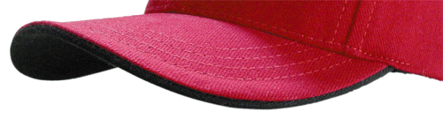 Rollup VIsor